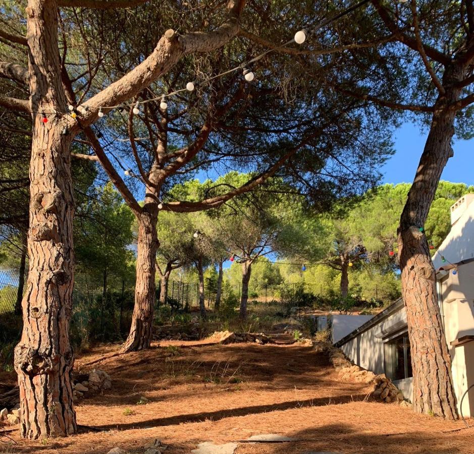 Villa Casa Des Pins - D'exception A